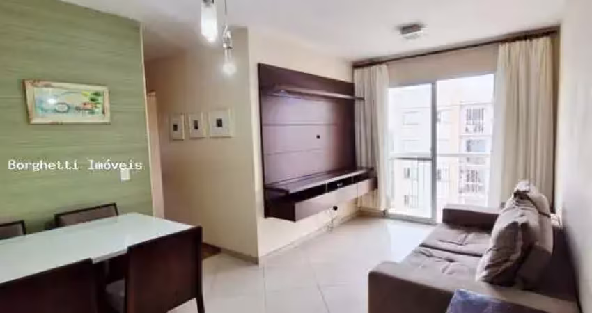 Apartamento para locação em são paulo, jardim das vertentes, 3 dormitórios, 1 banheiro, 1 vaga