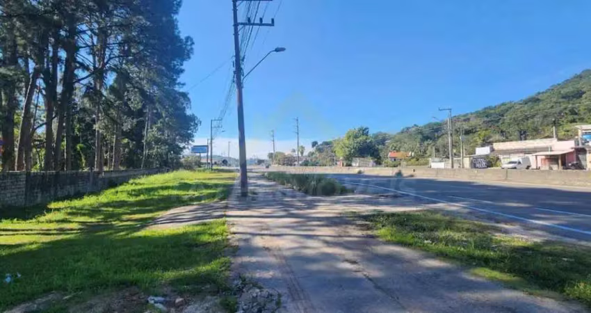 Terreno à venda na Rodovia Armando Calil Bulos, s/n, Vargem Grande, Florianópolis