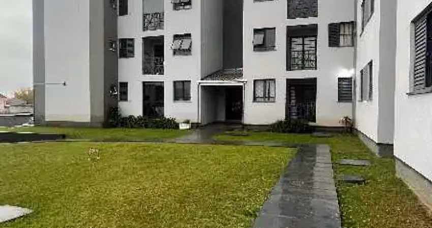 Apartamento com 3 quartos para alugar na Rua das Palmeiras, 128, Emiliano Perneta, Pinhais