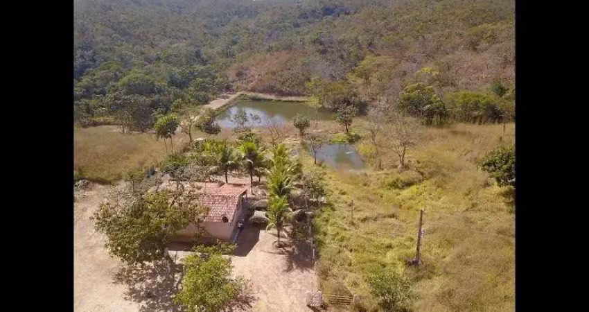 Fazenda de 40 alqueires em orizona - go fazenda à venda, 1936000 por r$ 5.000.000 vn14388