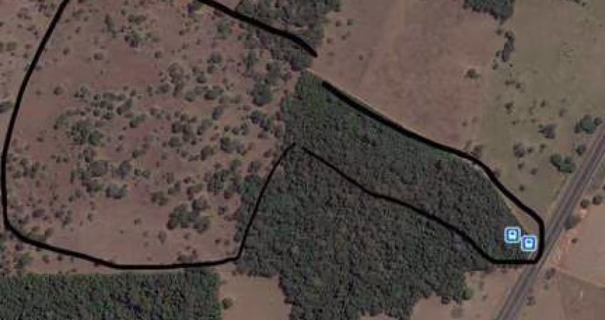 FAZENDA SANTA SAMAMBAIA NO SANTA EDWIGES, LADO ESQUERDO SENTIDO NERÓPOLIS  Fazenda à Venda, 3726.8 por R$ 5.775.000 TA21444