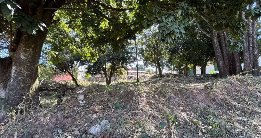 Lote em aparecida na vila maria  área / terreno à venda, 539 por r$ 270.000 no setor vila maria in25569