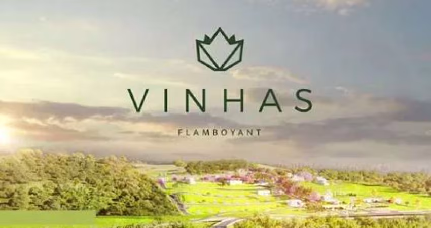 Ágio LOTEAMENTO VINHAS FLAMBOYANT 250M Loteamento Aberto à Venda, 250 por R$ 350.000 no setor CONDOMINIO VINHAS ST27495