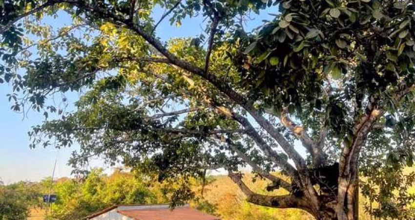 CHÁCARA COM EDIFICAÇÃO - CALDAZINHA Chácara à Venda, 2000 por R$ 230.000 VN23860