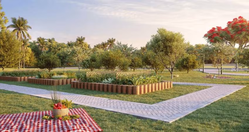 Ágio Lote Jardins Turim Área / Terreno à Venda, 261.96 por R$ 427.209,44 no setor Jardim Planalto AU27882
