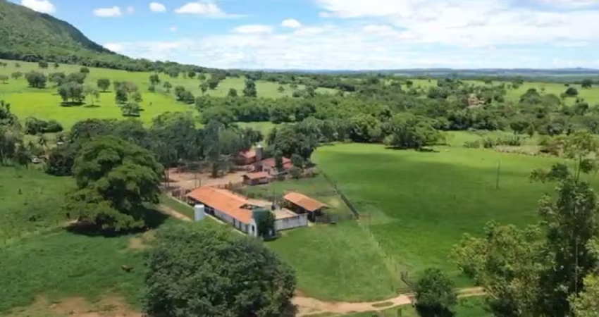 Linda fazenda em palmeiras de goias fazenda à venda, 701800 por r$ 5.700.000 ad28014