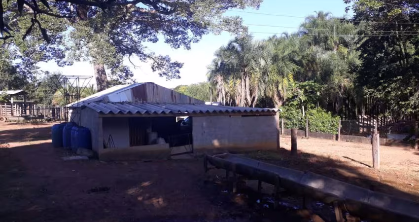 FAZENDA - 22 ALQ EM CEZARINA - GOIAS  Fazenda à Venda, 1064800 por R$ 12.000.000 IN28276