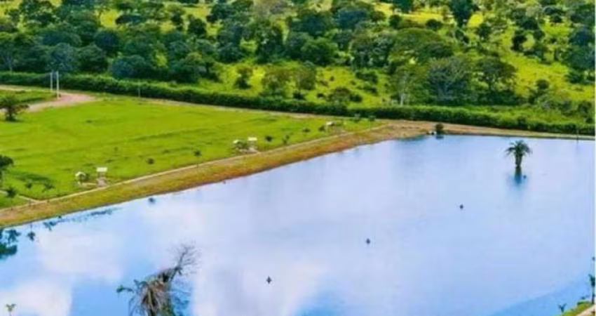 lote em trindade Área / Terreno à Venda, 1036.12 por R$ 235.000 no setor Setor Dona Iris II SL29125