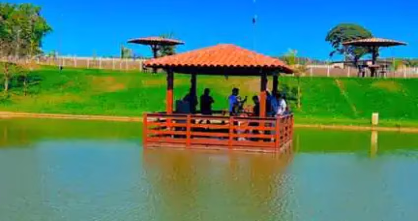 Ágio condominio ecologico veneza lote à venda, 400 por r$ 107.880,66 no setor zona rural ta27652