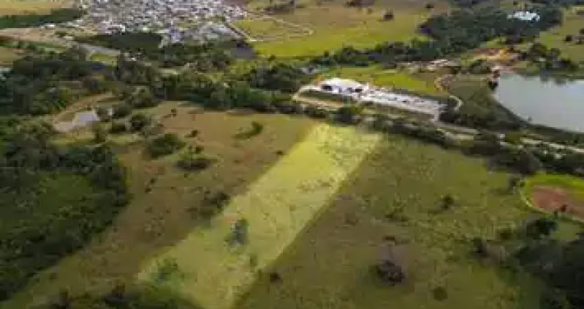 Terreno na go - 080 área / terreno à venda, 20000 por r$ 4.000.000 no setor area rural  ax31996