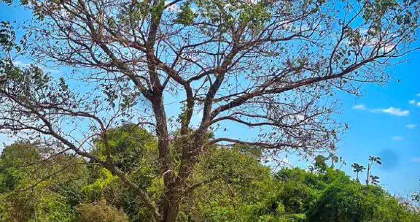 Lote 2.400 m² com mata e lazer no recanto dos ipês – go-020 lote à venda, 2400 por r$ 380.000 no setor recanto dos ipês ad32702