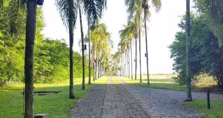 Terreno para venda  no bairro jardim martinelli (sousas) em campinas