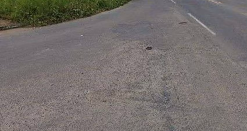 Terreno à venda, 10000 m² por R$ 2.500.000,00 - Boca da Mata de Valéria - Salvador/BA
