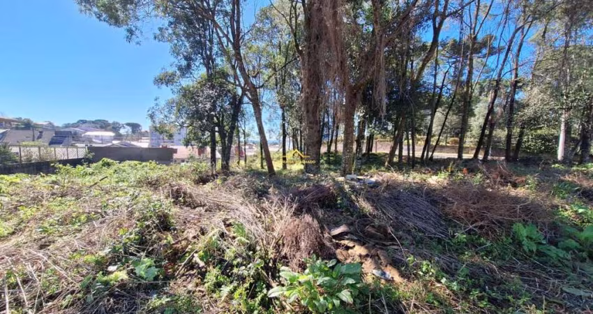 TERRENO À VENDA NO BAIRRO JARDIM ELDORADO EM CAXIAS DO SUL