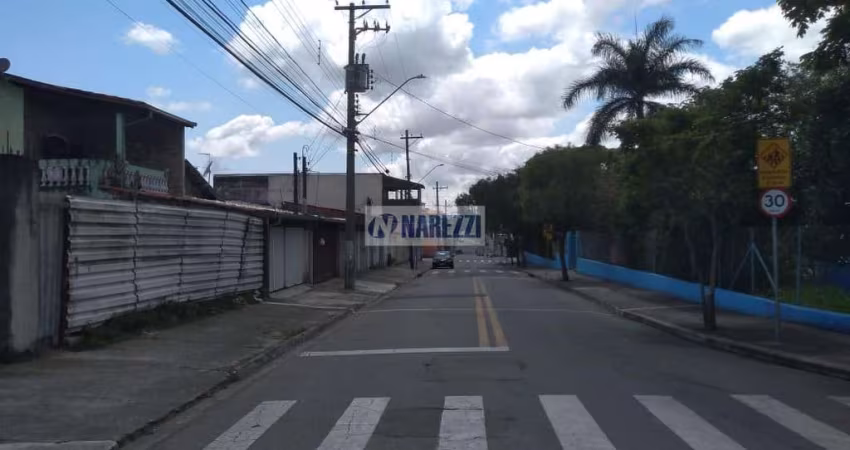 T223 TERRENO GALO BRANCO (250M²)