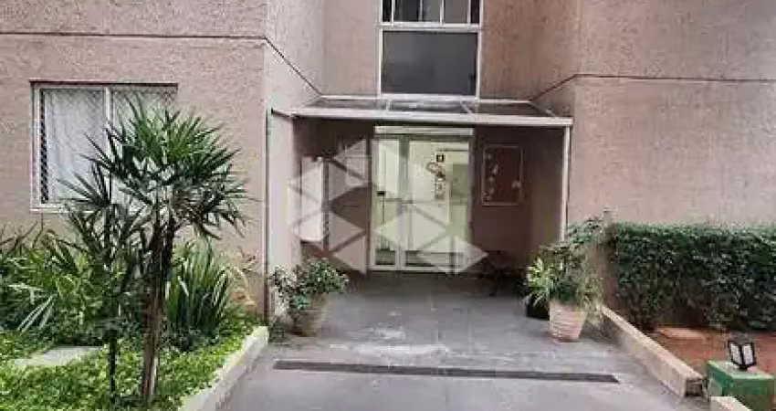 Apartamento com 2 quartos à venda na Rua Figueira da Polinésia, 825, Jardim Matarazzo, São Paulo