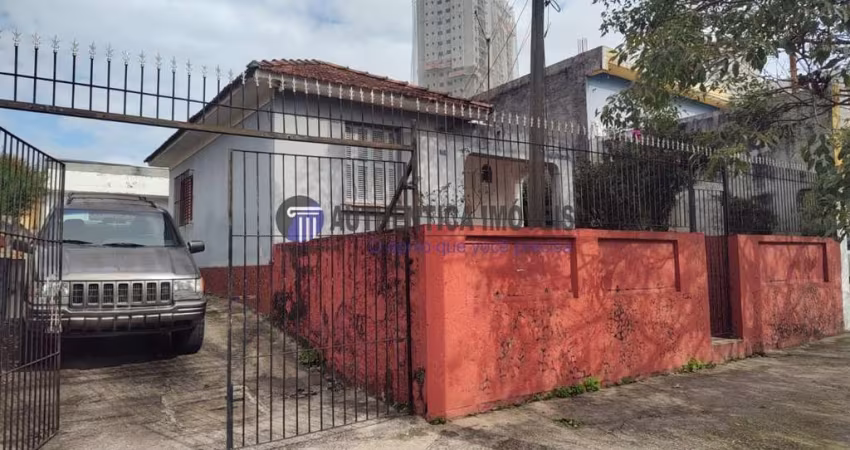 TERRENO para VENDA - VILA OSASCO - OSASCO- SÃO PAULO - AUTHÊNTICA IMÓVEIS