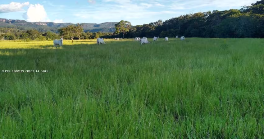 Chácara para Venda em Rio Negro, Rural, 4 dormitórios, 1 suíte, 3 banheiros, 10 vagas