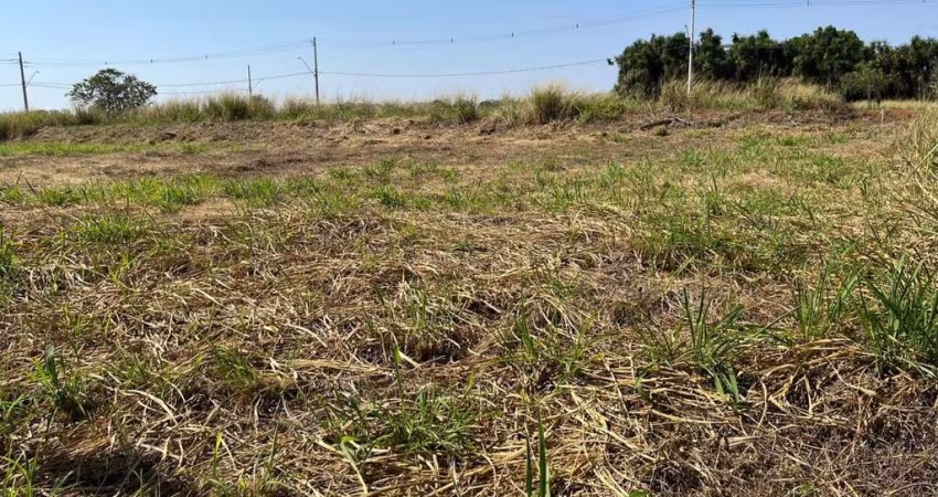 Terreno para Venda em Holambra, Residencial Jardim Europa