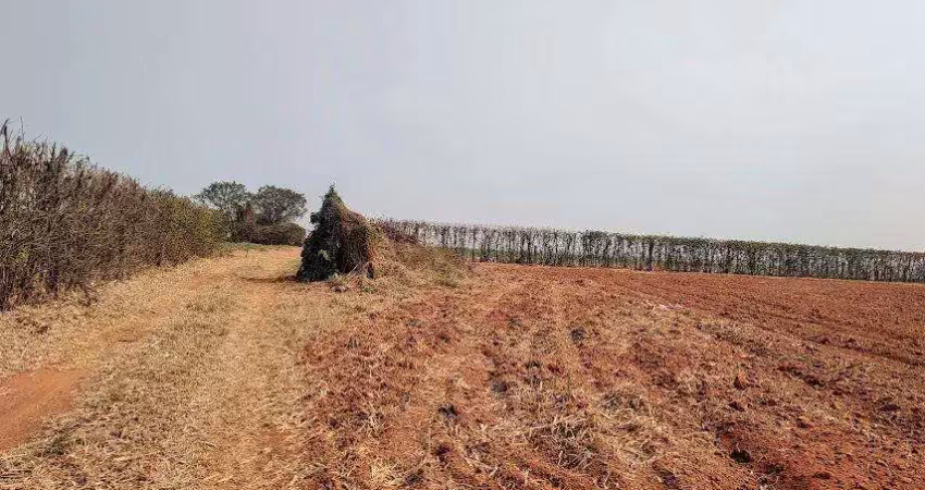 Chácara / sítio à venda na Área Rural de Mogi Mirim, Mogi Mirim 