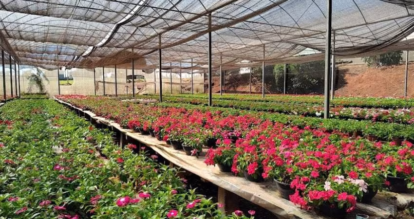 Sítio para Venda em Santo Antônio de Posse, Pirapitanqui