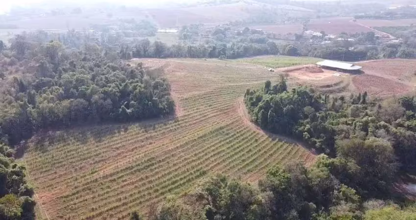 Sítio para venda em santo antônio de posse, área rural de santo antônio de posse
