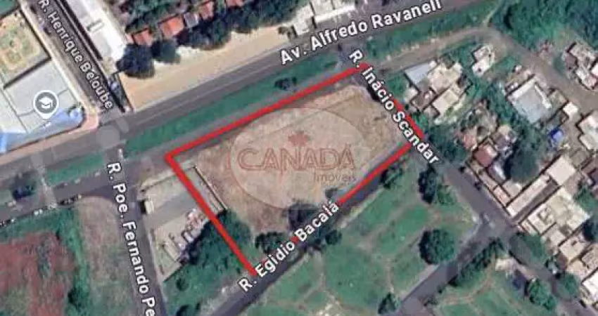 Terreno à venda no Jardim das Palmeiras, Ribeirão Preto 