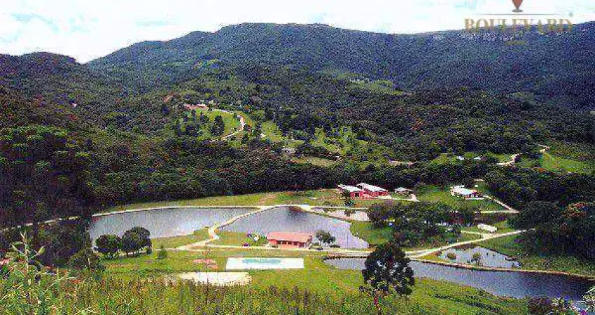Chácara com natureza deslumbrante e 10 dormitórios à venda, 529113 m² por r$ 6.500.000 - campo largo - campo largo/pr