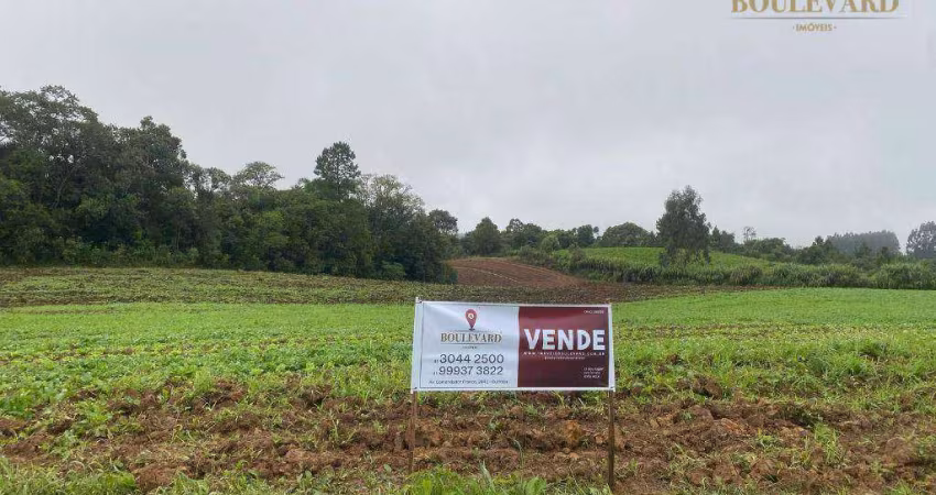 Chácara à venda, 54000 m² por R$ 419.000,00 - Zona Rural - Tijucas do Sul/PR