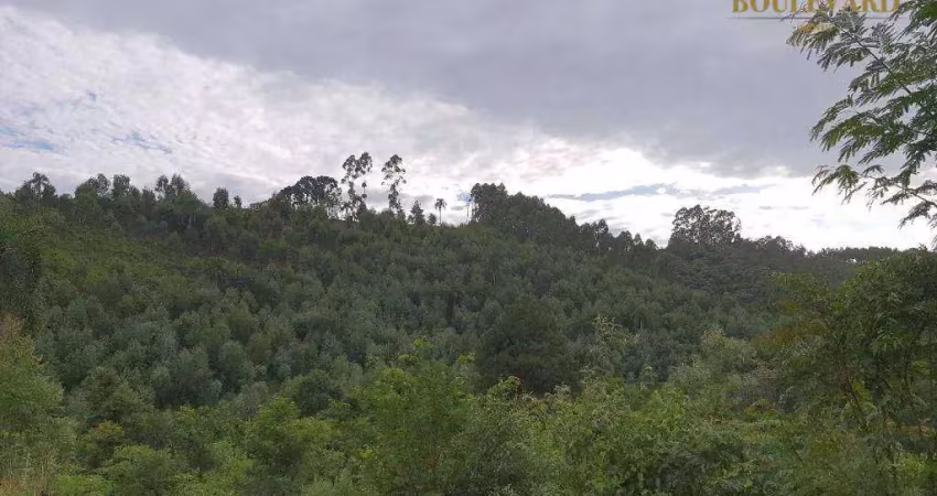 Chácara com 2 dormitórios à venda, 48400 m² por r$ 650.000 - cerro negro - campo magro/pr