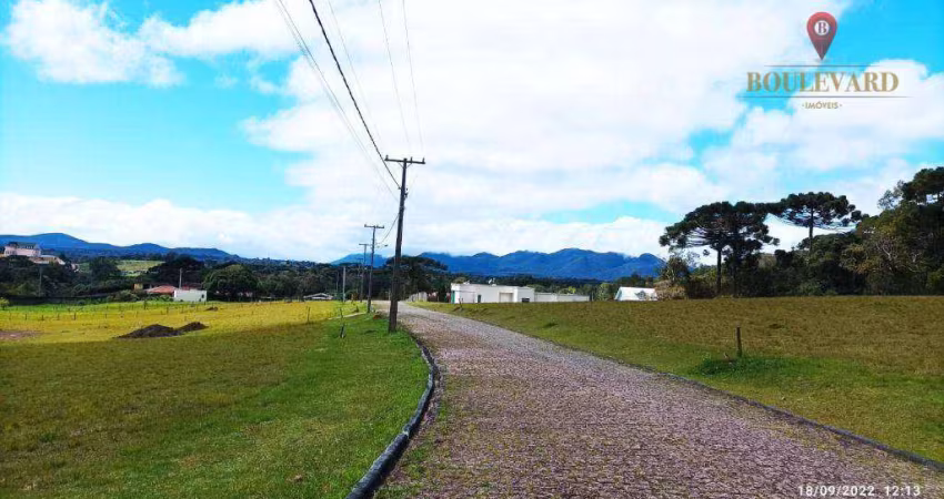 Terreno no Morada do Sol II, à venda, 5554 m² por R$ 620.000 - Planta Laranjeiras - Piraquara/PR