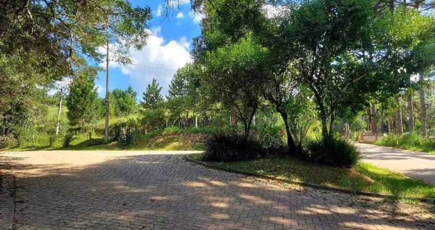 Campo Largo, Ferraria, chácara 51.425m², na rotatória EcoUmbrella, acesso asfalto, esquina com Rua