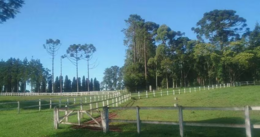 São José dos Pinhais, Haras cinematográfico,171.520m² , 17 Há, 11 piquetes, 20 baias e 20 cocheiras