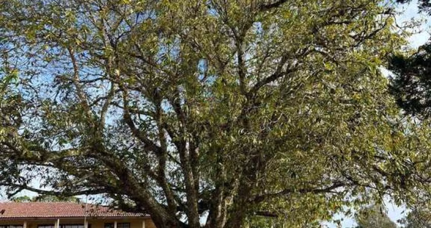à venda, Planta Entremar, Piraquara, PR