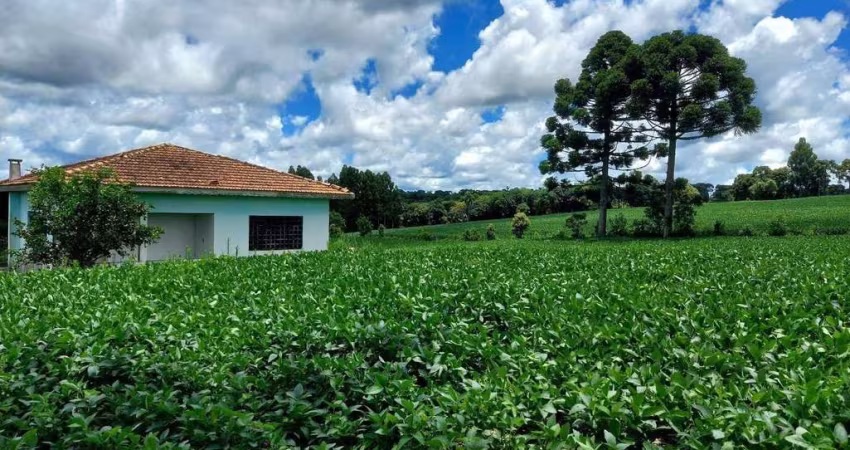 Lapa, 24 alqueires, 58 hectares ou. 580.800m², à 3 Km do asfalto, cercada, casa sede, galpão , plan