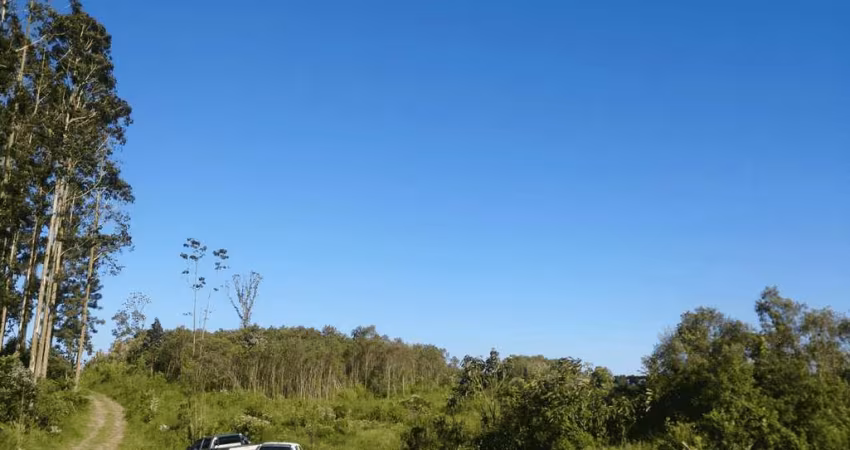 Campo Largo, Itambé, 508 Hectares ou 209 alqueires, Floresta plantada, à 49km Park Shopping Barigüi