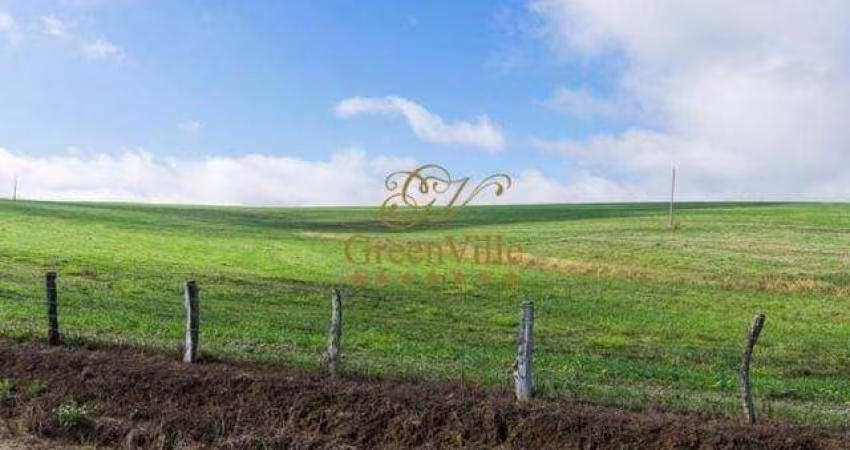 Lapa, Fazenda 157,30 Hectares ou 65 Alqueires, plantando 45 alqueires, DUPLA APTIDÃO, à venda, PR