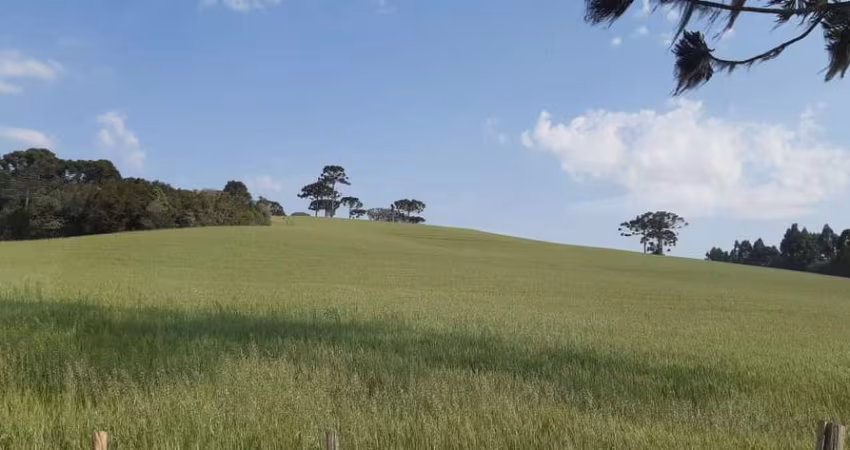 Lapa, Sede Centenária, 45 alqueires ,110,31 hectares , planta 16 alqueires, à venda, Mariental, PR