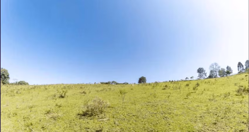 Campo Largo, Alphaville, área 74.721m², Própria pra loteamento, com estudo, à 12 km do Parque Barig