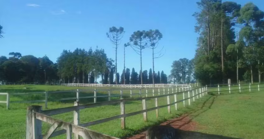 São josé dos pinhais,haras cinematográfico, 20 baias, 171.520m², 4 qtos, 2 suítes, à venda,  pr