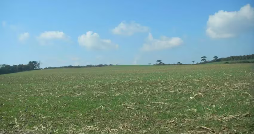 Lapa/ balsa nova, sede centenária, 45 alqueires ,110,31 hectares , planta 16 alqueires, à venda, ma