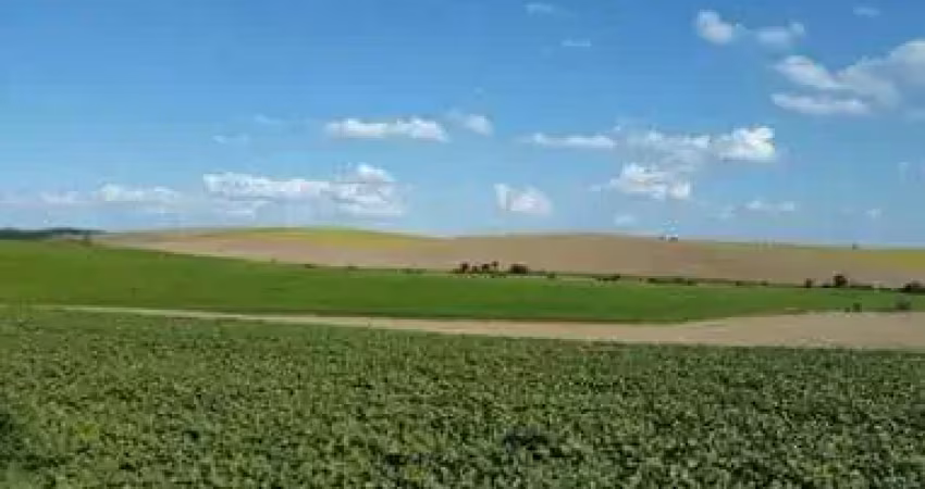 Lapa, fazenda 471,90 hectares,195 alqueires ou 4.719.000m²,plantando 100 alqueires, à venda, paraná