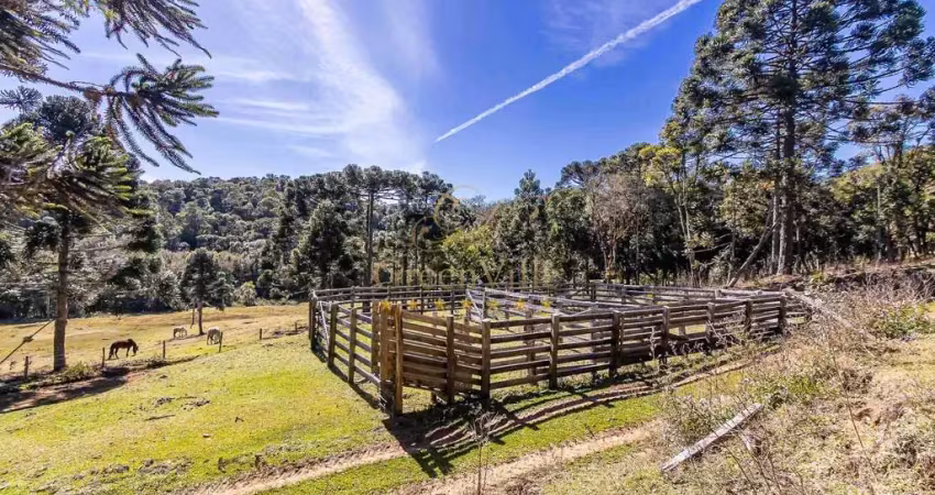 Tijucas do sul, fazenda 160 alqueires, 367,10 há, haras ou loteamento, casa sede 500m² venda, zona