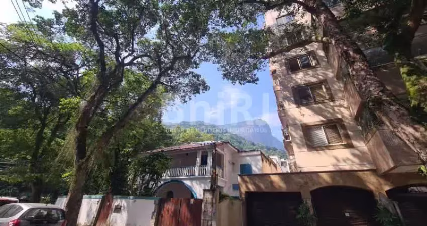 Vendo preciosidade no Jardim Botânico Rio de Janeiro Rua Conde Afonso Celso