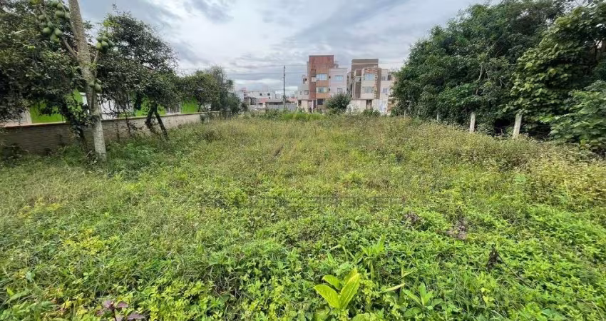 Terreno comercial para alugar no Itacolomi, Balneário Piçarras 