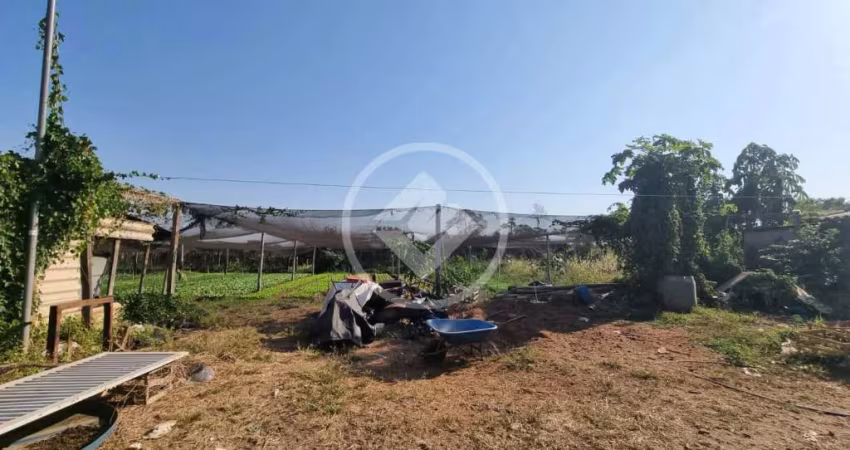 PROPRIEDADE VIVENDAS PRIMAVERA 5.000 m2 codigo: 99595