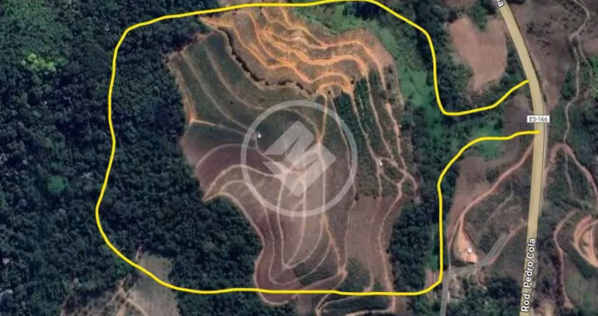 Fazenda de Café - Área para loteamento codigo: 123662