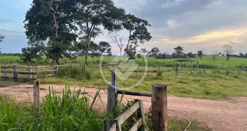 Propriedade rural - fazenda formada dupla aptidão - alcinópolis/ms codigo: 119020