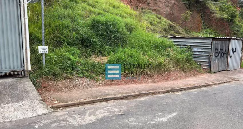 Terreno à venda, 480 m² por R$ 135.000,00 - Nova Benfica - Juiz de Fora/MG