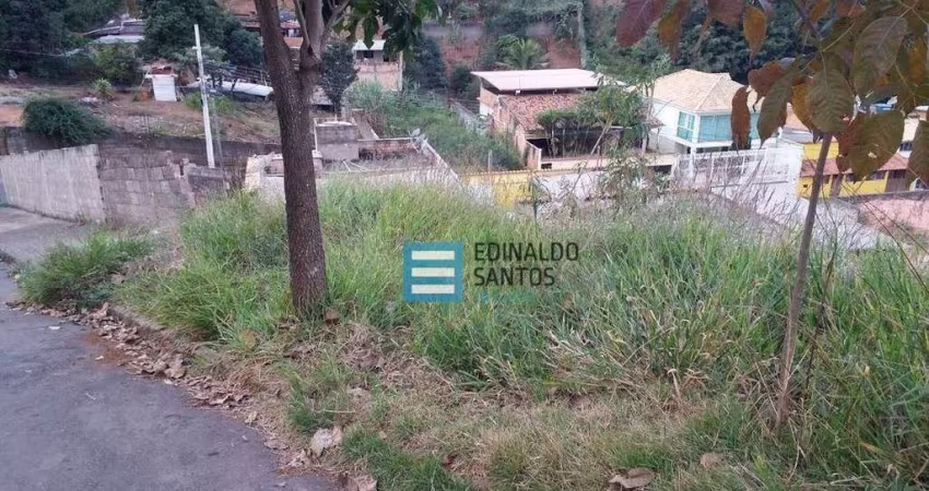 Terreno Residencial à venda, Nova Benfica, Juiz de Fora - TE0100.